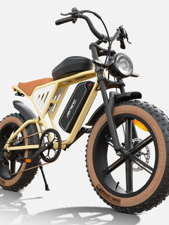 Bicicletta Elettrica per Adulti JANSNO X70G 750W 48V 37AH con Doppia Batteria Rimovibile, Pneumatici Fat da 20 Pollici, E-Bike Fuoristrada per Tutti i Terreni