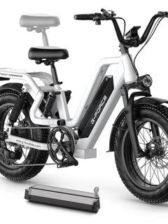 Bicicletta Elettrica G-FORCE RS ST per Tutti i Terreni, Potenza 750W, Batteria 48V15Ah, Bici Elettrica per Adulti, Pneumatici Larghi 20*4 Pollici per Tutti i Terreni