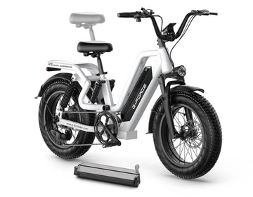Bicicletta Elettrica G-FORCE RS ST per Tutti i Terreni, Potenza 750W, Batteria 48V15Ah, Bici Elettrica per Adulti, Pneumatici Larghi 20*4 Pollici per Tutti i Terreni