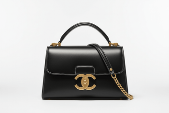 CHARLES & KEITH - Borse Baguette - platinumshop