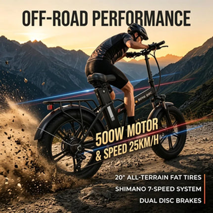 ROYAL Q&C E-Bike 48v 20AH Velocità Massima 24,99km/h Autonomia Massima 60km