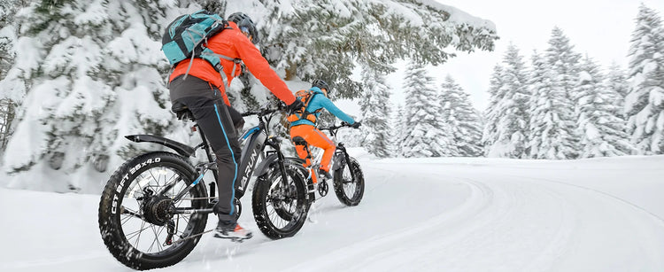 Bicicletta Elettrica per Adulti Varun S26-1, E-bike da Montagna, Batteria 48V 16Ah, Fatbike 26'', Bicicletta Elettrica da Strada