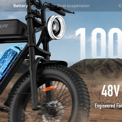 URLIFE T2 Bici Elettrica Fat Tyre 250W 20" 48V 15.6Ah con Batteria Rimovibile, Bici Elettrica da Montagna per Adulti per Ogni Terreno