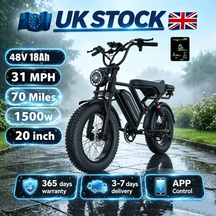 EU Stock Electric Bicycle 1500W Motor 20 Inch Anti-slip Shock Absorb Tires Super Bright Front Light Max Load 120Kg For Suburb Long Distance Riding