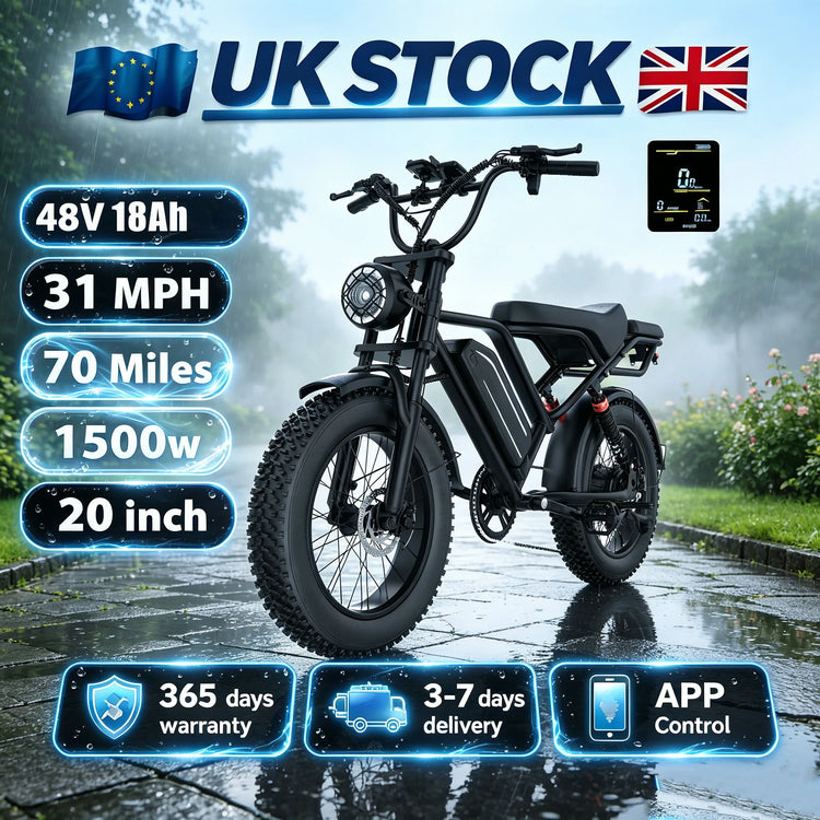 EU Stock Electric Bicycle 1500W Motor 20 Inch Anti-slip Shock Absorb Tires Super Bright Front Light Max Load 120Kg For Suburb Long Distance Riding