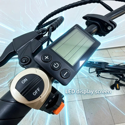 ROYAL Q&C E-Bike 48v 20AH Velocità Massima 24,99km/h Autonomia Massima 60km