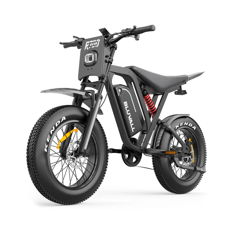 Bicicletta Elettrica DEEPOWER 1500W R700 con Batteria Rimovibile 48V 25Ah, Autonomia Massima 70KM, Pneumatici Larghi 20*4.0, Freni Idraulici, Ammortizzatori Idraulici, Pannello Strumenti LCD Smart, Bici Elettrica per Tutti i
