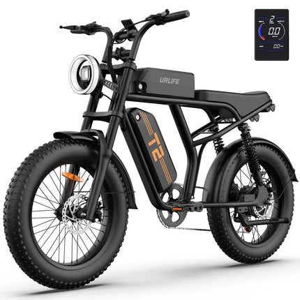 URLIFE T2 Bici Elettrica Fat Tyre 250W 20" 48V 15.6Ah con Batteria Rimovibile, Bici Elettrica da Montagna per Adulti per Ogni Terreno