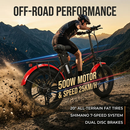 ROYAL Q&C E-BIKE 48V 25AH Velocità Massima 24,99KM/H Autonomia Massima 60KM