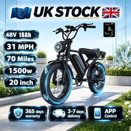 EU Stock 1500W High Power E-Bike Dual Disc Brake Bright Headlight 20 Inch Shock Absorb Tires Comfort Ride For Adult Campus Daily Travel