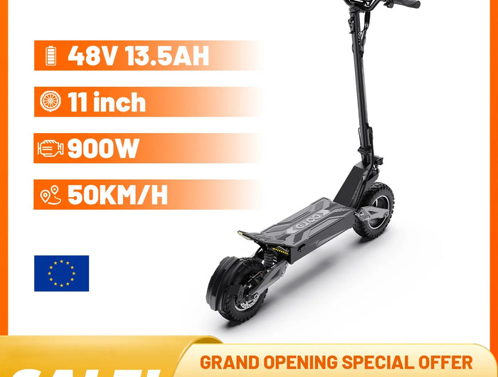 Monopattino elettrico OOTD T10 con potenza di picco di 900W, batteria da 48V 13.5Ah, display a LED, per adulti platinumshop