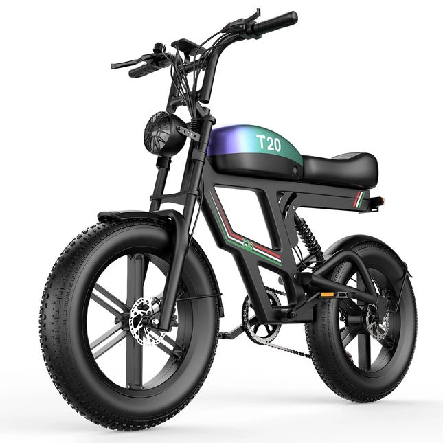 T20 Electric Bicycle with High Capacity 48V20Ah Lithium-Ion Batteries, Adult Electric Bike with 20'X4.0' All-Terrain Tires, Adult Electric Mountain Bike