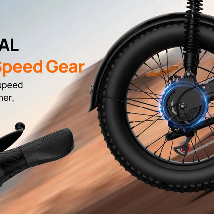 URLIFE T2 Bici Elettrica Fat Tyre 250W 20" 48V 15.6Ah con Batteria Rimovibile, Bici Elettrica da Montagna per Adulti per Ogni Terreno