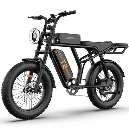 URLIFE T2 Bici Elettrica Fat Tyre 250W 20" 48V 15.6Ah con Batteria Rimovibile, Bici Elettrica da Montagna per Adulti per Ogni Terreno
