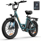 URLIFE E20 Bici Elettrica 1000W, Batteria 48V 13Ah, 25KM/H, Autonomia 80KM, Pneumatici Fat 20X3
