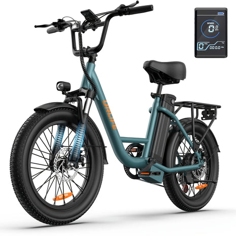 URLIFE E20 Bici Elettrica 1000W, Batteria 48V 13Ah, 25KM/H, Autonomia 80KM, Pneumatici Fat 20X3", E-Moped Elettrico per Adulti, per Pendolarismo Urbano e Tutti i Terreni