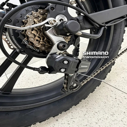 ROYAL Q&C E-Bike 48v 20AH Velocità Massima 24,99km/h Autonomia Massima 60km