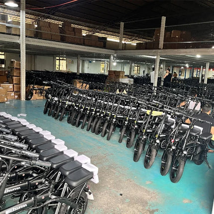 Bicicletta Elettrica T20 con Batterie agli Ioni di Litio ad Alta Capacità 48V20Ah, Bici Elettrica per Adulti con Pneumatici All-Terrain 20'X4.0', Mountain Bike Elettrica per Adulti