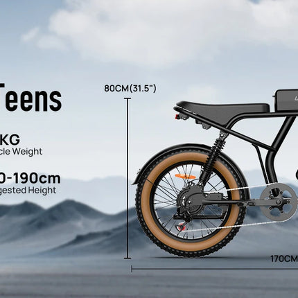 URLIFE T2 Bici Elettrica Fat Tyre 250W 20" 48V 15.6Ah con Batteria Rimovibile, Bici Elettrica da Montagna per Adulti per Ogni Terreno