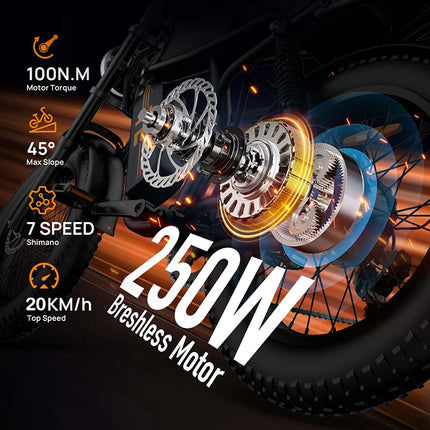 URLIFE T2 Bici Elettrica Fat Tyre 250W 20" 48V 15.6Ah con Batteria Rimovibile, Bici Elettrica da Montagna per Adulti per Ogni Terreno