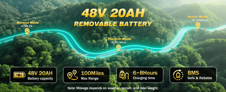 Bicicletta Elettrica T20 con Batterie agli Ioni di Litio ad Alta Capacità 48V20Ah, Bici Elettrica per Adulti con Pneumatici All-Terrain 20'X4.0', Mountain Bike Elettrica per Adulti