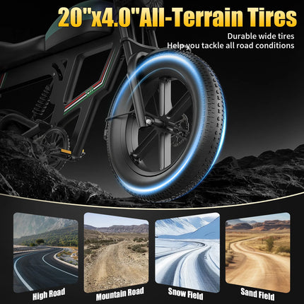 Bicicletta Elettrica T20 con Batterie agli Ioni di Litio ad Alta Capacità 48V20Ah, Bici Elettrica per Adulti con Pneumatici All-Terrain 20'X4.0', Mountain Bike Elettrica per Adulti