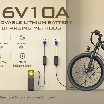 Bicicletta elettrica Aairsk Q7 con motore da 250W, batteria rimovibile da 36V 10Ah, velocità massima di 25 km/h, doppia sospensione e autonomia da 45 a 75 km per carica. Bicicletta elettrica per adulti.