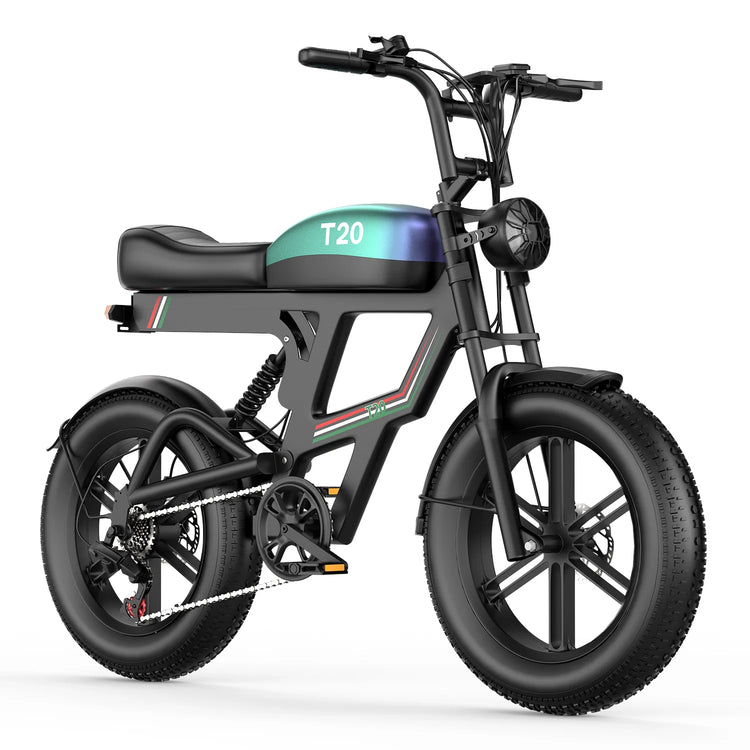 Bicicletta Elettrica T20 con Batterie agli Ioni di Litio ad Alta Capacità 48V20Ah, Bici Elettrica per Adulti con Pneumatici All-Terrain 20'X4.0', Mountain Bike Elettrica per Adulti