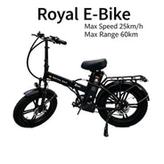 ROYAL Q&C E-Bike 48v 20AH Velocità Massima 24,99km/h Autonomia Massima 60km