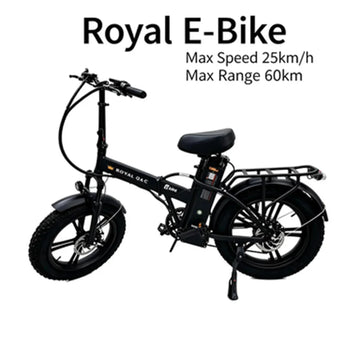 ROYAL Q&C E-Bike 48v 20AH Velocità Massima 24,99km/h Autonomia Massima 60km
