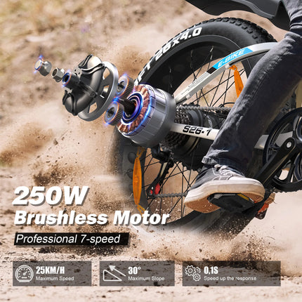 Bicicletta Elettrica per Adulti Varun S26-1, E-bike da Montagna, Batteria 48V 16Ah, Fatbike 26'', Bicicletta Elettrica da Strada