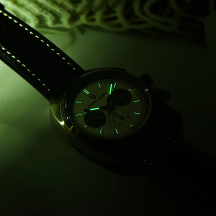 Orologio da Uomo Retrò PAGANI DESIGN 2026 Nuova Collezione, Cronografo al Quarzo, Vetro Zaffiro Giapponese VK63, Spedizione Locale
