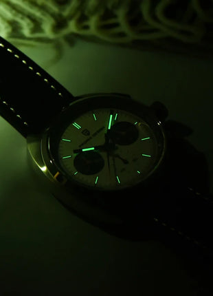 PAGANI DESIGN Nuovo Orologio da Uomo Turtle Back Cronografo al Quarzo con Vetro Zaffiro e Bracciale, Movimento Giapponese VK63, Spedizione Locale