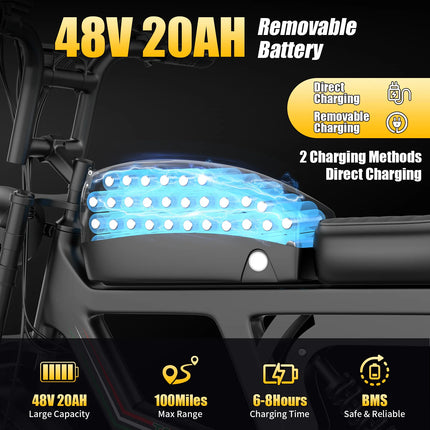 Bicicletta Elettrica T20 con Batterie agli Ioni di Litio ad Alta Capacità 48V20Ah, Bici Elettrica per Adulti con Pneumatici All-Terrain 20'X4.0', Mountain Bike Elettrica per Adulti