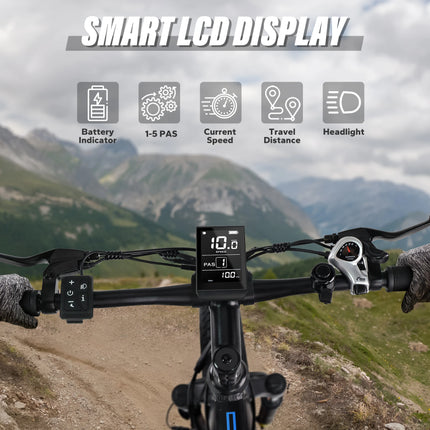 Bicicletta Elettrica per Adulti Varun S26-1, E-bike da Montagna, Batteria 48V 16Ah, Fatbike 26'', Bicicletta Elettrica da Strada