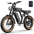 URLIFE T2 Bici Elettrica Fat Tyre 250W 20