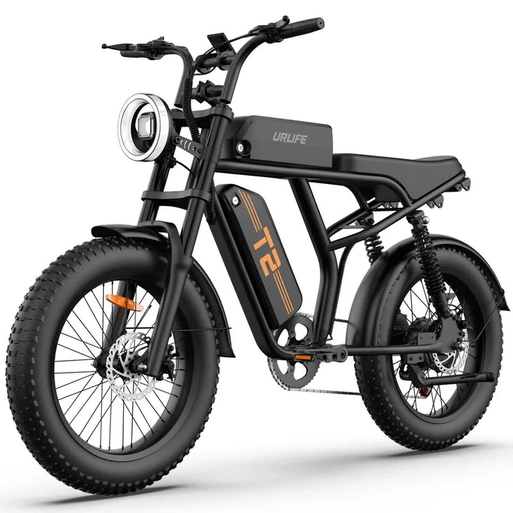 Bicicletta Elettrica URLIFE T2 con Pneumatici Larghi per Adulti, Batteria al Litio Rimovibile 48V 15.6Ah, Autonomia 100KM, Ruote 20×4 Pollici, E-bike Fuoristrada con Doppio Freno a Disco, Spedizione Gratuita