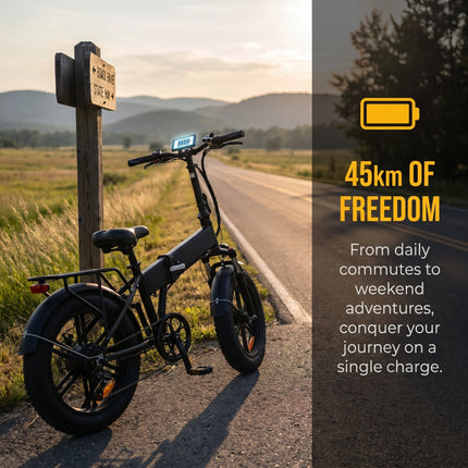 Royal Q&C E-Bike 48v 15AH Velocità Massima 24,99km/h Autonomia Massima 45km