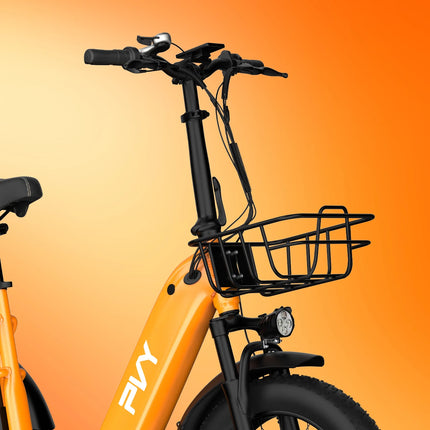 Triciclo Elettrico con Pneumatici Fat da 20*4.0 Pollici, E-bike da Carico PVY F20 con Robusto Cesto Posteriore, Motore da 1000W, Coppia di 80N.M, Forcella Ammortizzata Bloccabile, Carico Massimo 150kg