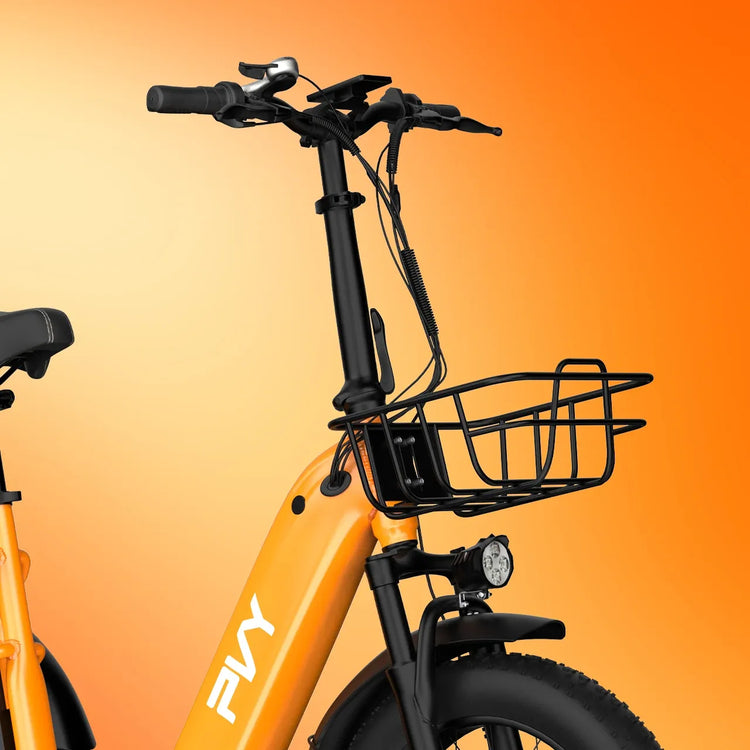 Triciclo Elettrico con Pneumatici Fat da 20*4.0 Pollici, E-bike da Carico PVY F20 con Robusto Cesto Posteriore, Motore da 1000W, Coppia di 80N.M, Forcella Ammortizzata Bloccabile, Carico Massimo 150kg