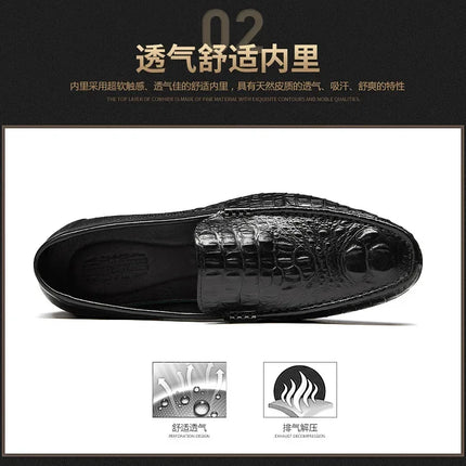 Scarpe slip on da uomo Mocassini da uomo Mocassini da uomo Scarpe estive in vera pelle Mocassini da uomo Scarpe da guida formali 2024