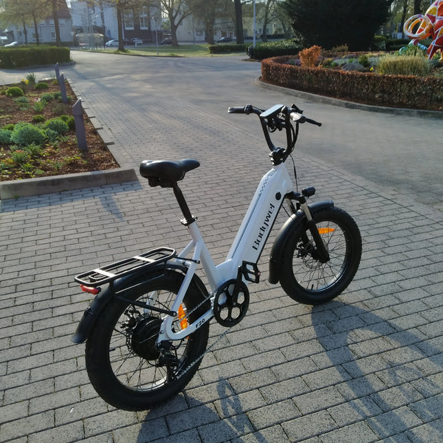 Bodywel F20 500W 48V 15Ah Fat Tire Electric Commuter Bike with 60-80KM Range, 20"x3.0" Fat Tires, 7 Speeds, and Front Suspension for Urban Adults