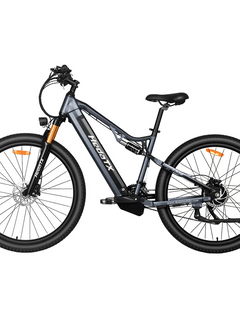 Bicicletta elettrica Heda TX19 1000W 48V 19.2AH Batteria al litio Freno a disco idraulico Pneumatici da 29 pollici Bicicletta elettrica da montagna per adulti