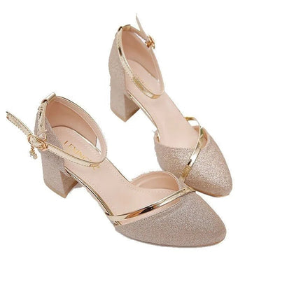 Fashion Spring and Summer Black High-heeled Shoes Women's High-quality Silver Wedding High-heeled Shoes Women's Gold Party Pump PlatiNum