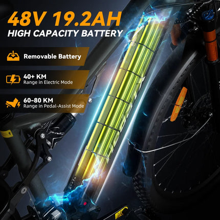 Bicicletta elettrica Heda TX19 1000W 48V 19.2AH Batteria al litio Freno a disco idraulico Pneumatici da 29 pollici Bicicletta elettrica da montagna per adulti