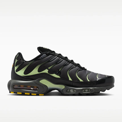 Nike Authentic Air Max Plus Men's Cushioned Sports Casual Shoes DM0032-035