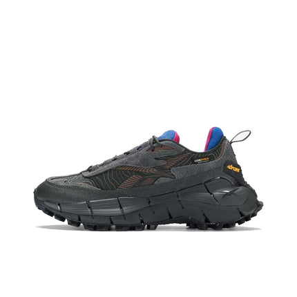 Reebok Zig Kinetica 2.5 Casual Shoes Unisex Low Top Black 100033180