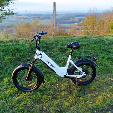 Bicicletta Elettrica Fat Tire Commuter Bodywel F20 500W 48V 15Ah con Autonomia 60-80KM, Pneumatici Fat 20"x3.0", 7 Velocità e Sospensione Anteriore per Adulti Urbani