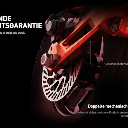Monopattino Elettrico Pieghevole JOYOR T6E DE con Omologazione ABE, 20km/h, 500W, 48V18AH, Ruote da 10 Pollici, per Adulti