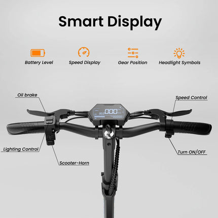 Monopattini elettrici M5 Pro W, batteria 48V 20.8Ah, autonomia 80 km, freni idraulici pieghevoli, con sella e bagagliaio